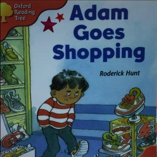 20170822 Adam goes shopping