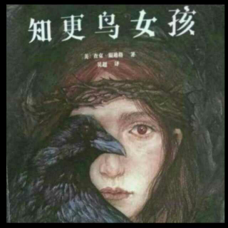 知更鸟女孩―41