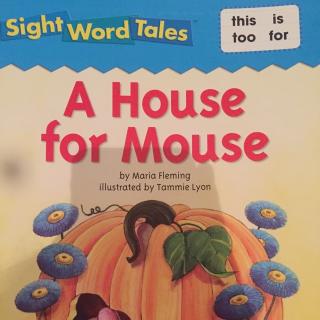 1 A house for mouse