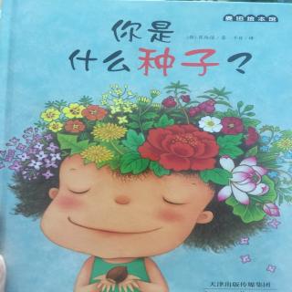 你是什么种子？