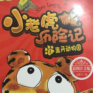 小老虎历险记之《老虎🐯的回信》