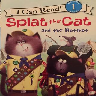 Splat the Cat and the Hotshot