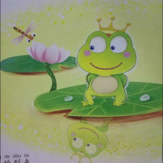 《青蛙🐸国王》