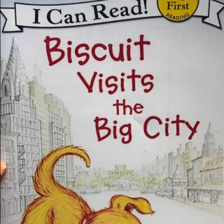 20170823 Biscuit visits the big city