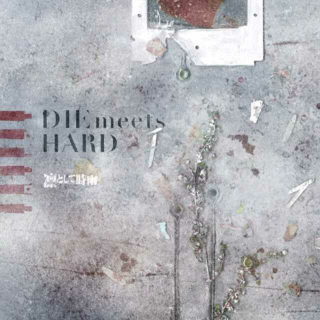 时雨-DIE meets HARD