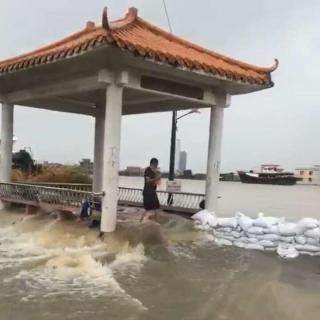 【电话连线】台风“天鸽”下的石楼镇清流村