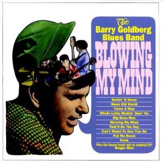Tea for One/孤品兆赫-181, 布鲁斯/Barry Goldberg-Blowing My Mind, 1966, Pt.1