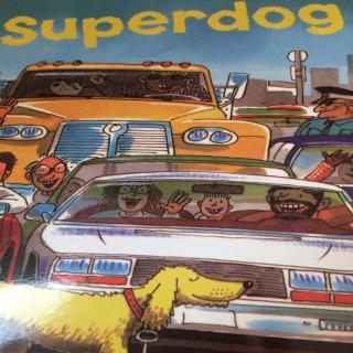 Superdog.                                               第五十天打卡Sarah