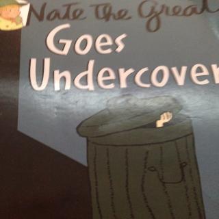 Nate the great goes undercover-20170824