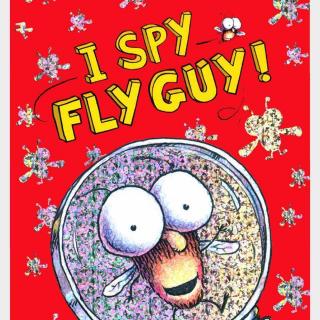 I spy flyguy