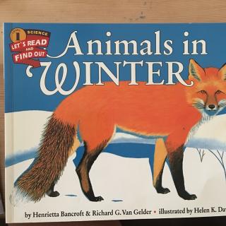 Let'read and find out science-Animals in winter