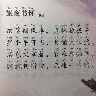 427,《旅夜书怀》杜甫