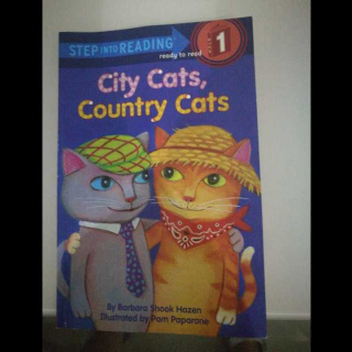 City cats   Country  cats