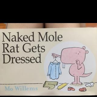 Naked Mole Rat Gets Dressed