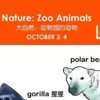 Nature：Zoo Animal