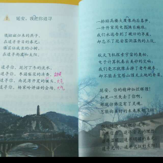 《延安，我把你追寻》