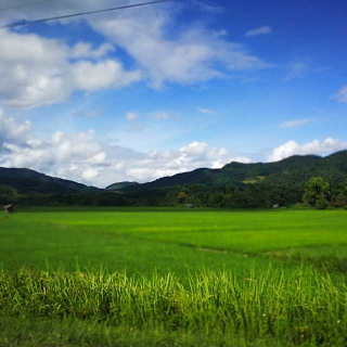 《夏末秋初，安然浅笑》夏雨天，朗诵：叶晓默