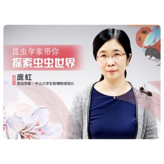 贝安转播昆虫学家2：滚粪球的大自然清道夫：屎壳郎