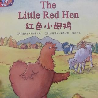 The Little Red Hen