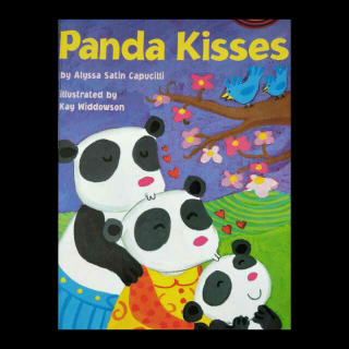 Panda   Kisses