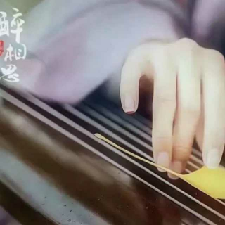 你温柔的样子真好看