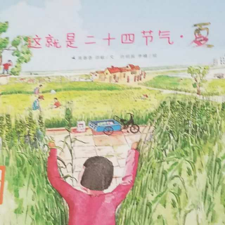 二十四节气_夏_小满