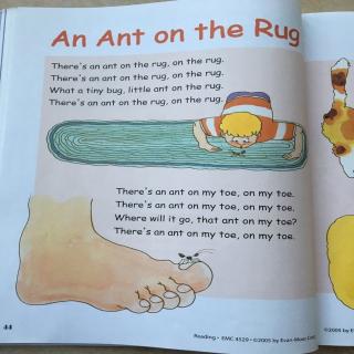 An Ant on the Rug-Part 2