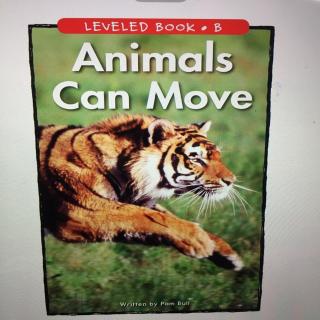 animal s can move