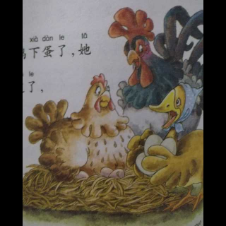 园长妈妈睡前故事：小鸡和小鸭