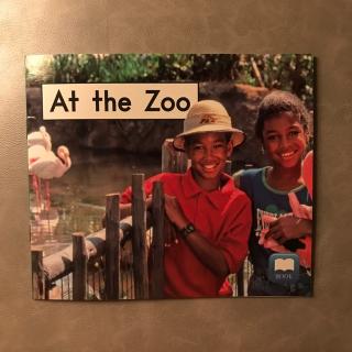 Book 13 At the Zoo