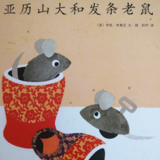 压力山大和发条老鼠🐭