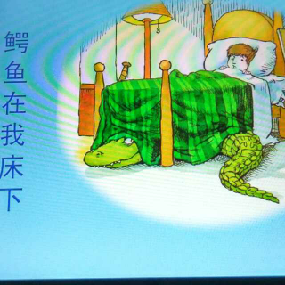 鳄鱼在我床下🐊🐊🐊🐊🐊🐊