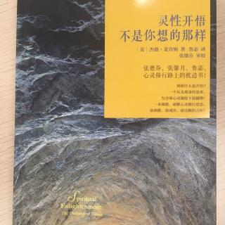 《灵性开悟不是你想的那样》9.同时在游戏之内与之外