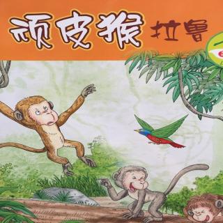 小蓝鲸🐳生态绘本5《顽皮猴🐒拉鲁》