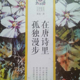 夏昆 在唐诗里孤独漫步 孟郊 34