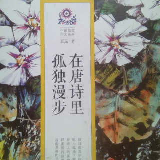 夏昆 在唐诗里孤独漫步 李端 27