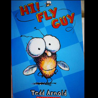 HI, FLY GUY!