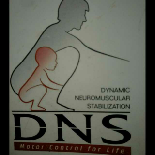 DNS临床A学习总结
