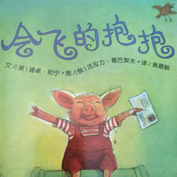 会飞的抱抱【珊卓·和宁 文】