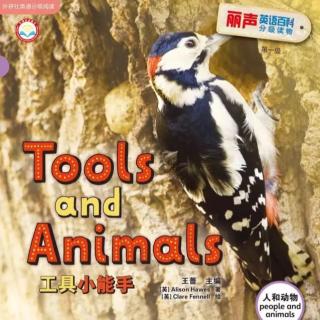 丽声英语百科1一1 Tools and Animals