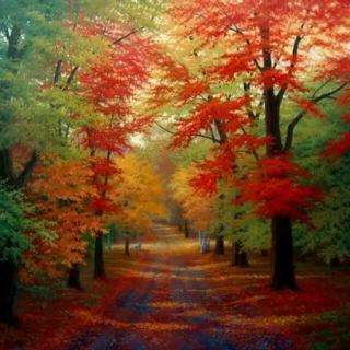 散文《站在秋的路口》
