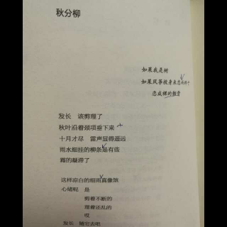 秋分柳  郑愁予