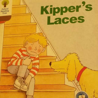 31 Kipper's Laces