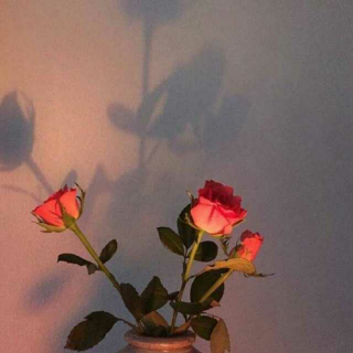 《红玫瑰与白玫瑰》