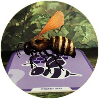 小熊尼奥的枕边故事-聪明的小蜜蜂