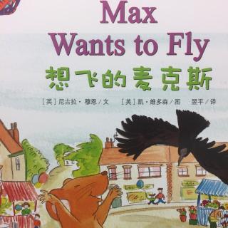 Max wants to fly
