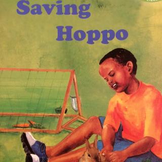 Saving hoppo
