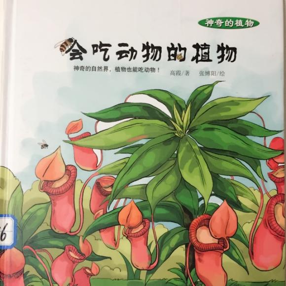 会吃动物的植物