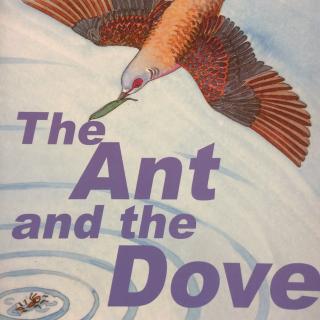 The ant 🐜 and the dove🐦