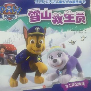 汪汪队立大功---雪山救生员